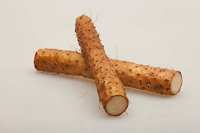 PS会员22年2月免费游戏公布 含《终极格斗冠军赛4》